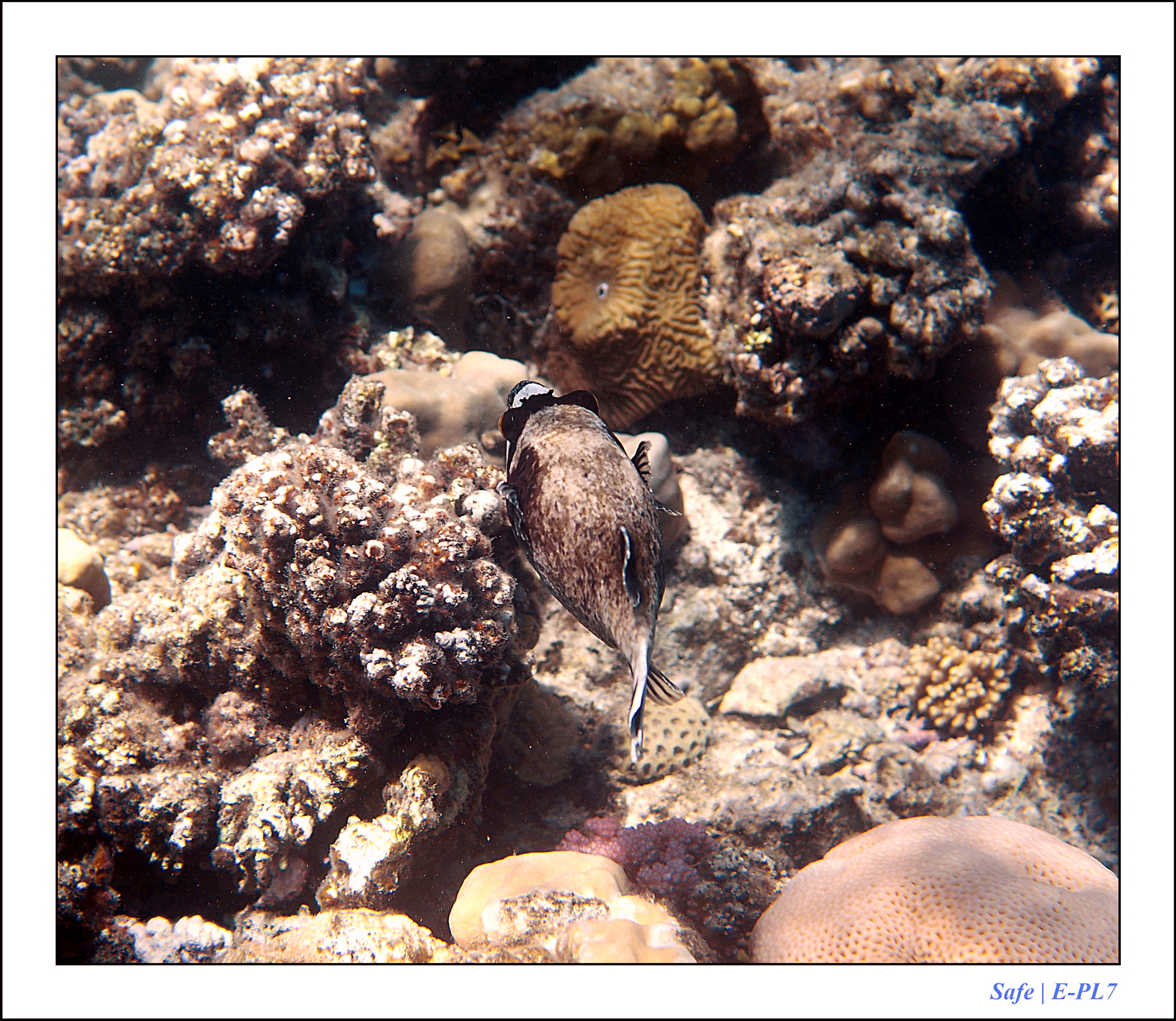 Hurghada - Juillet 2021 - 049